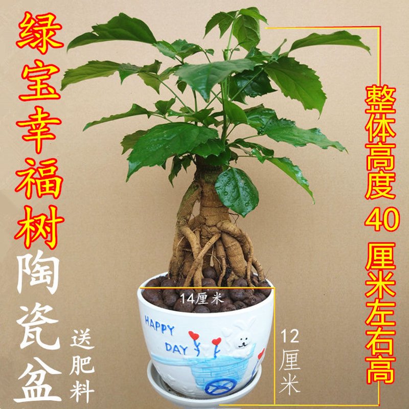 厨房设备定制：创造你梦想中的烹饪空间